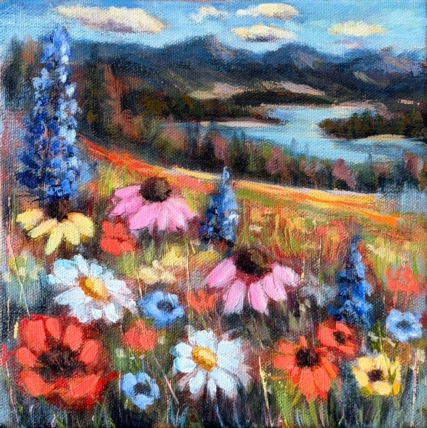 Where Dreams Bloom